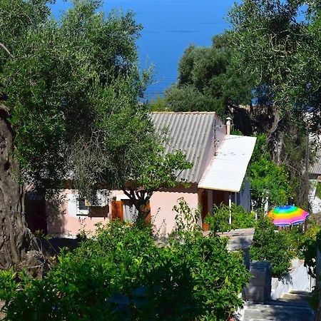 Kiki'S Beautiful House On Famous Village Pentátion מראה חיצוני תמונה