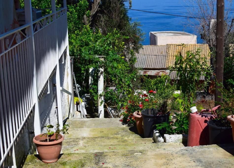 Kiki'S Beautiful House On Famous Village Pentátion מראה חיצוני תמונה