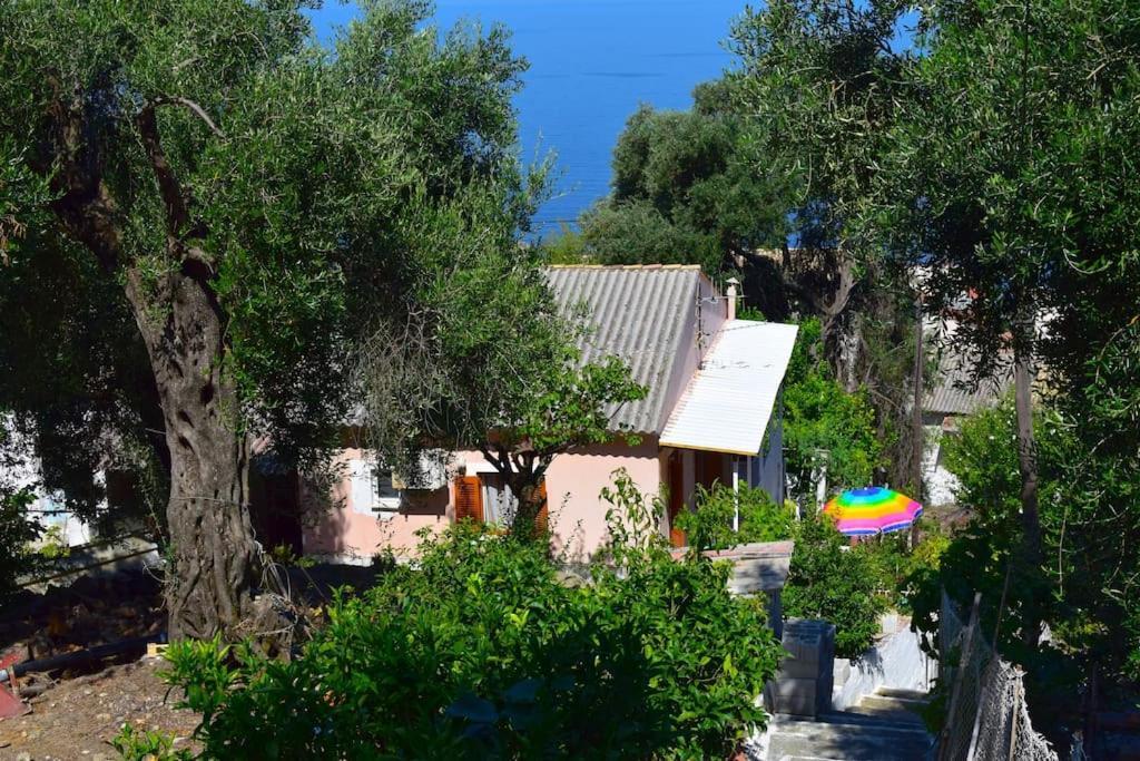 Kiki'S Beautiful House On Famous Village Pentátion מראה חיצוני תמונה